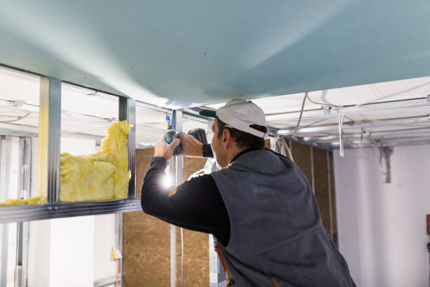 Best Insulation Maintenance and Repair in Tryon, NC